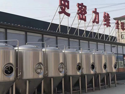 榆次精酿啤酒设备厂—市场规模与跨界新需求